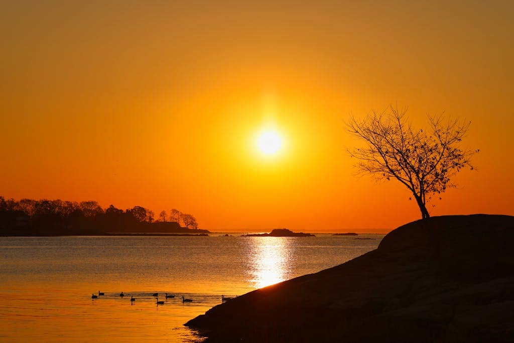 A serene sunrise highlighting a lone tree and tranquil waters, symbolizing a fresh start and new life journey