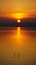 Beautiful sunrise over a calm lake with vibrant orange hues and sun rays in Hyderabad, India.